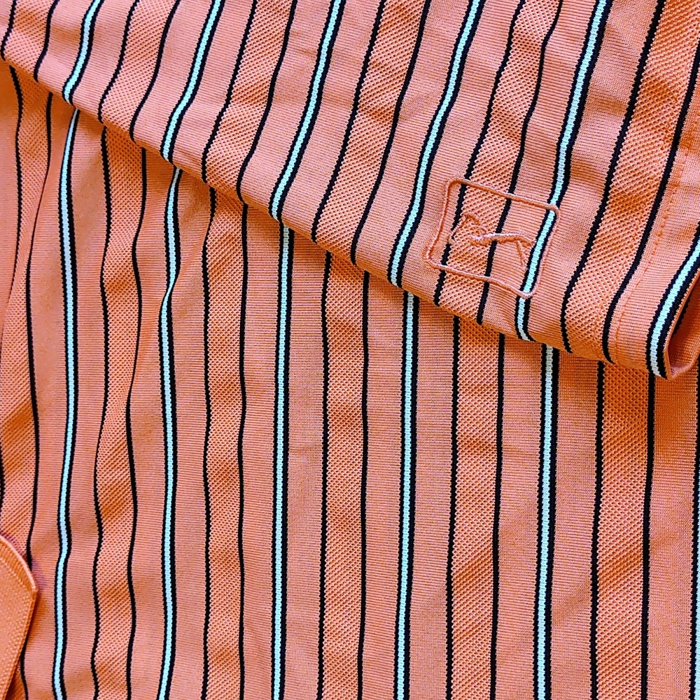 Polo - Picture 3 of 3